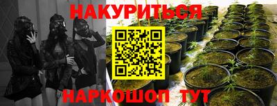 прущий лед Новозыбков