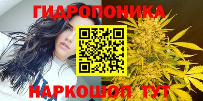 MESCALINE Новокубанск